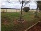 33 McKenzie Road, Barmera SA 5345