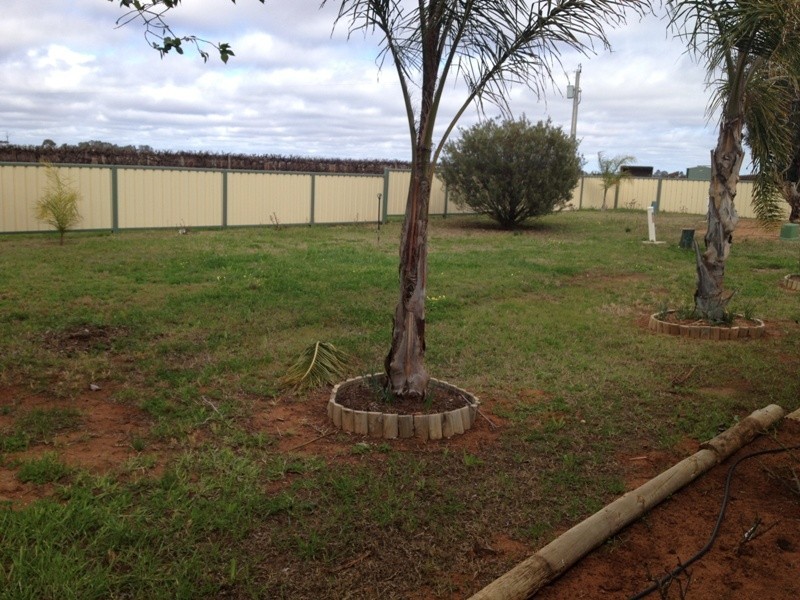 33 McKenzie Road, Barmera SA 5345