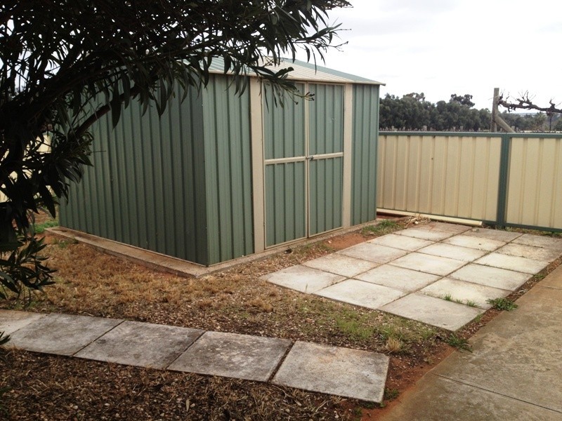 33 McKenzie Road, Barmera SA 5345