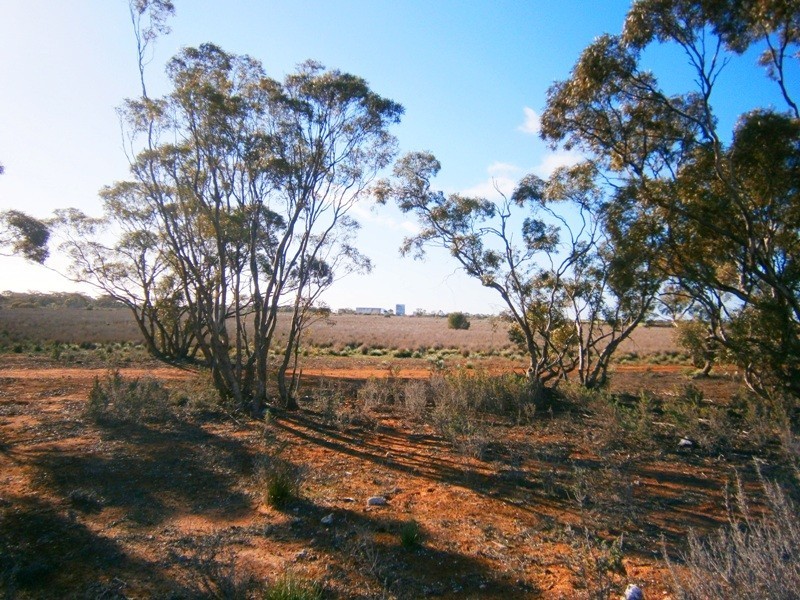 2 and 3 Sturt Highway – Zeigler Road, Waikerie SA 5330