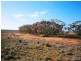 2 and 3 Sturt Highway – Zeigler Road, Waikerie SA 5330