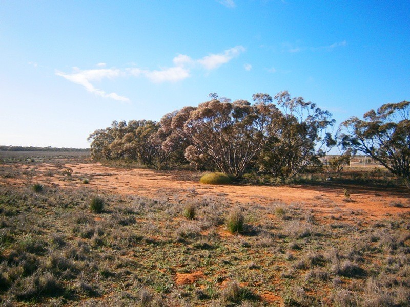 2 and 3 Sturt Highway – Zeigler Road, Waikerie SA 5330