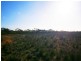 2 and 3 Sturt Highway – Zeigler Road, Waikerie SA 5330