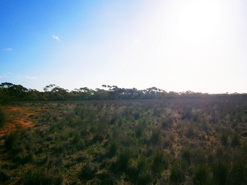2 and 3 Sturt Highway – Zeigler Road, Waikerie SA 5330