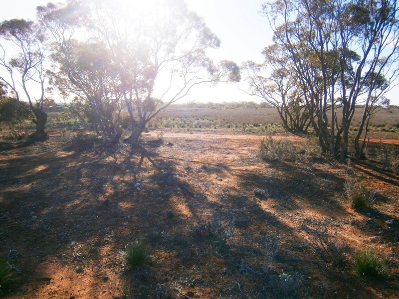2 and 3 Sturt Highway – Zeigler Road, Waikerie SA 5330