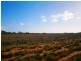 2 and 3 Sturt Highway – Zeigler Road, Waikerie SA 5330