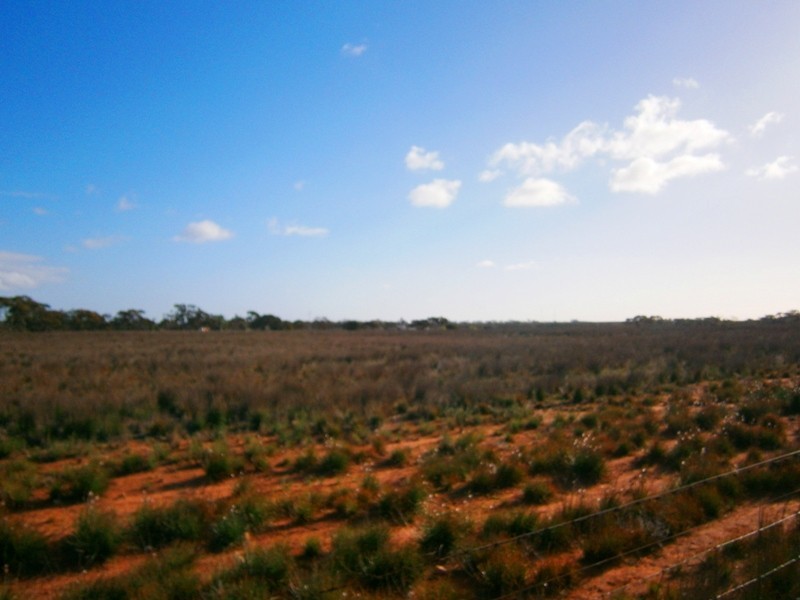 2 and 3 Sturt Highway – Zeigler Road, Waikerie SA 5330