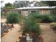 591 Drogemuller Road, Cobdogla SA 5346