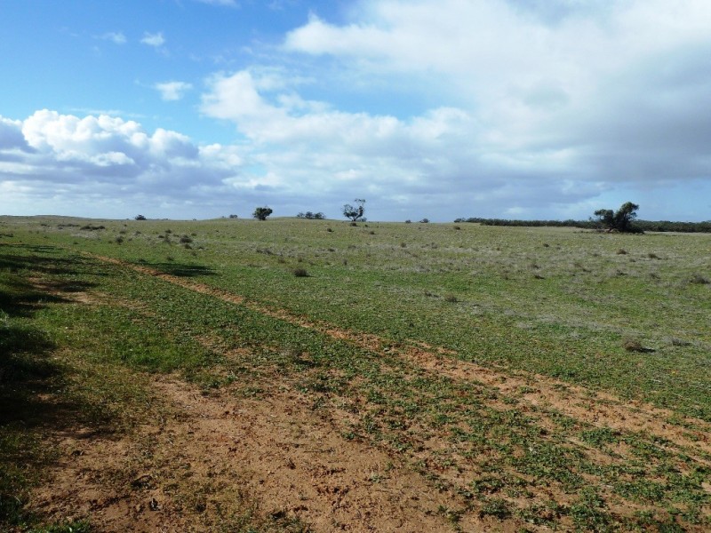 - Charlsons, Wanbi SA 5310