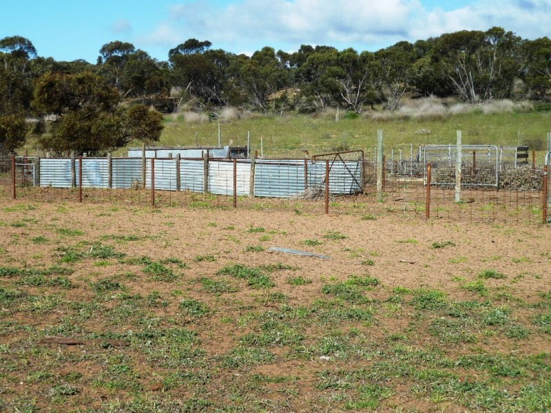 - Charlsons, Wanbi SA 5310