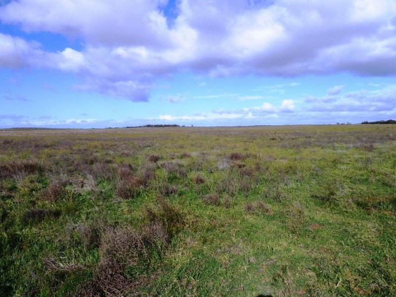 - Charlsons, Wanbi SA 5310