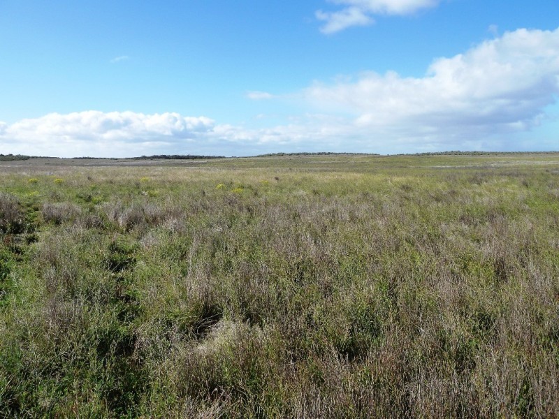 - Charlsons, Wanbi SA 5310