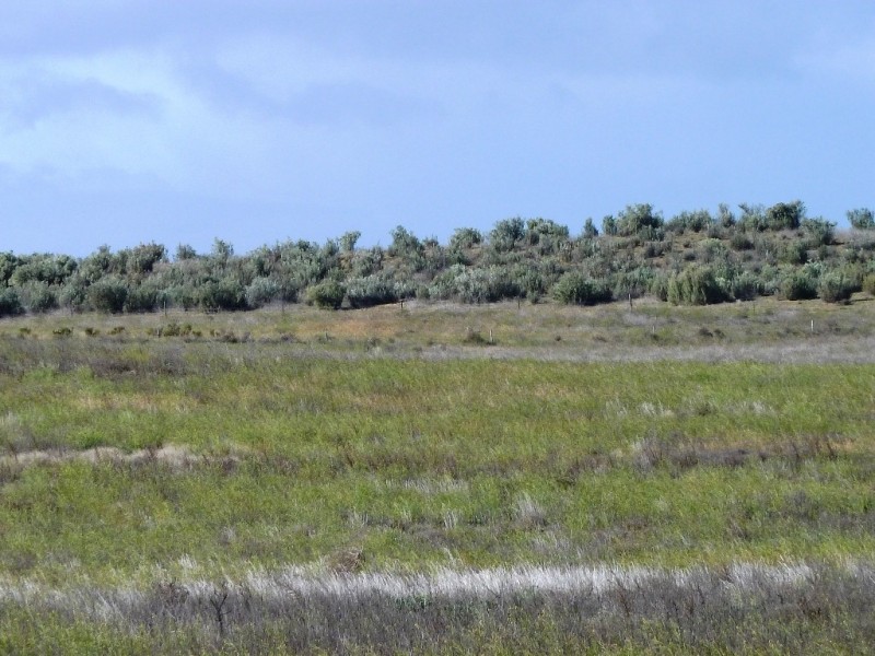 - Charlsons, Wanbi SA 5310