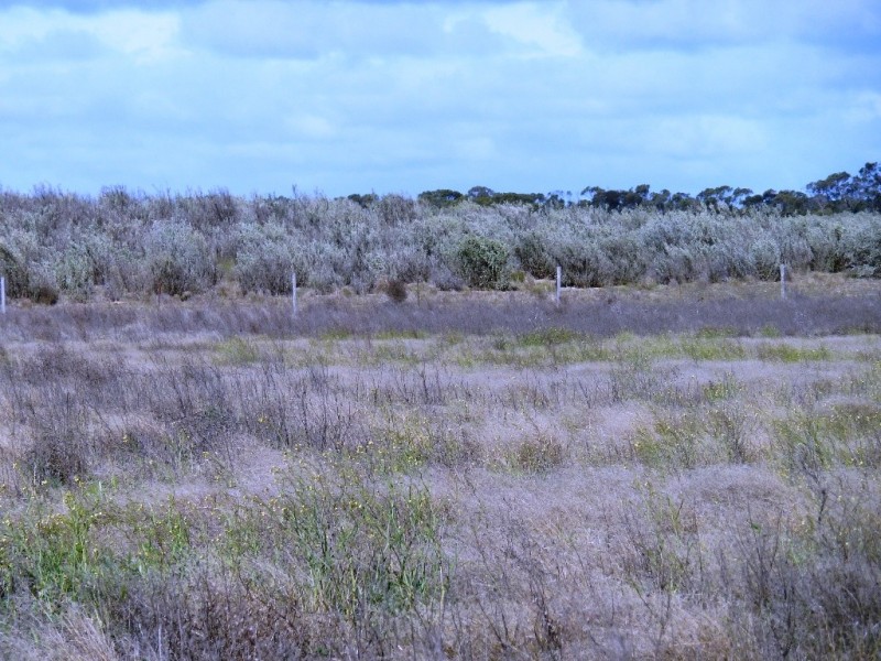 - Charlsons, Wanbi SA 5310