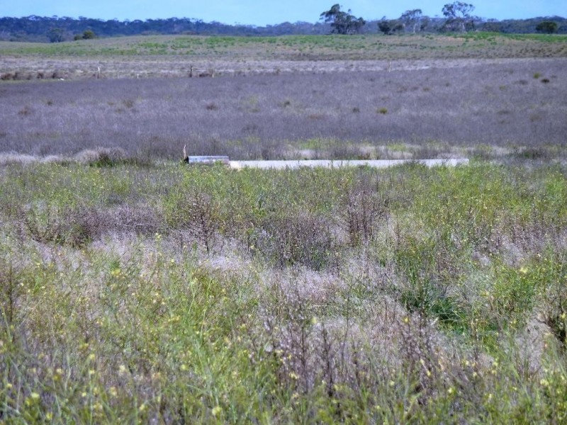 - Charlsons, Wanbi SA 5310