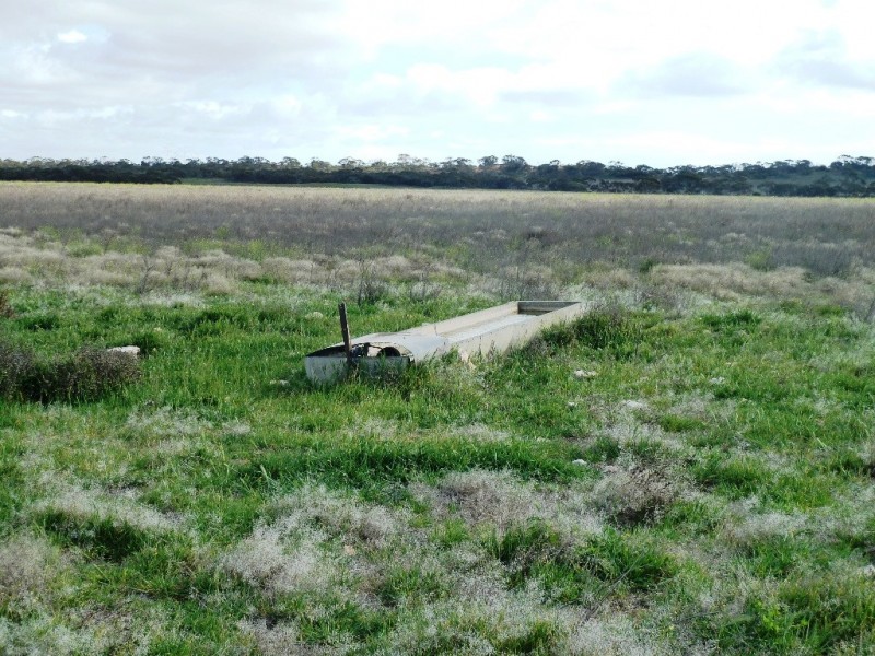 - Charlsons, Wanbi SA 5310