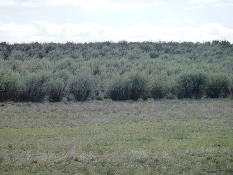 - Charlsons, Wanbi SA 5310