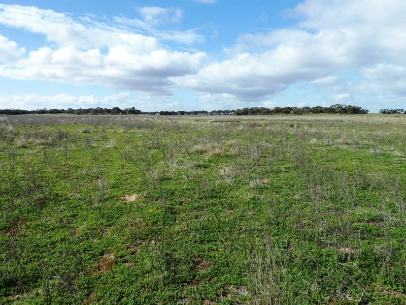 - Charlsons, Wanbi SA 5310