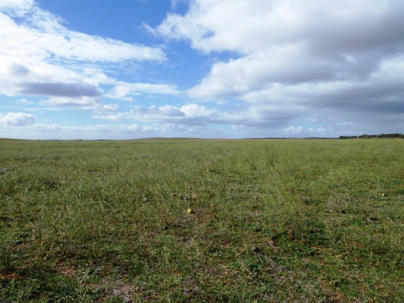 - Charlsons, Wanbi SA 5310