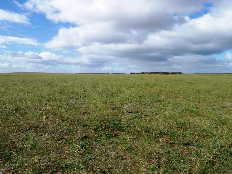 - Charlsons, Wanbi SA 5310