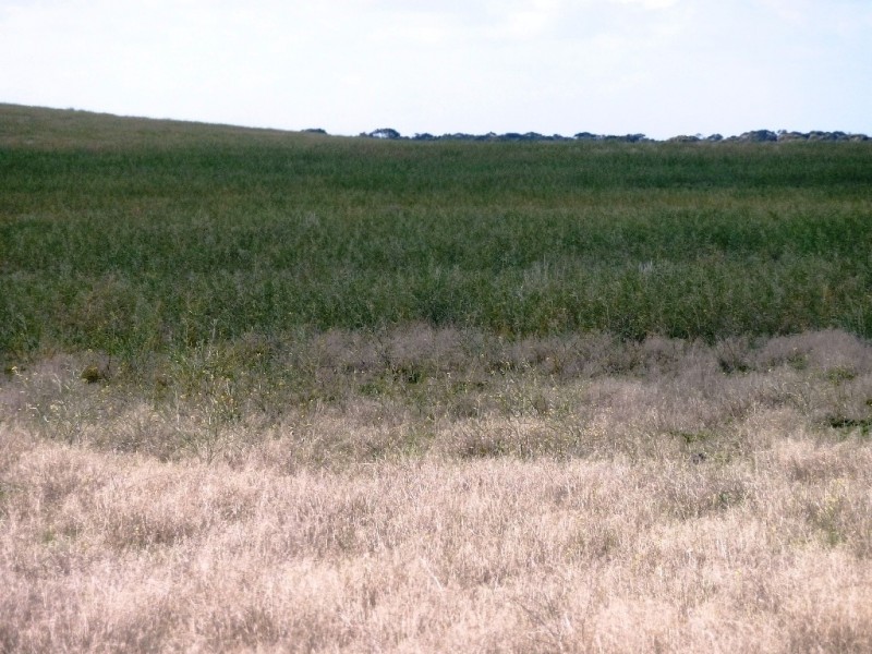 - Charlsons, Wanbi SA 5310