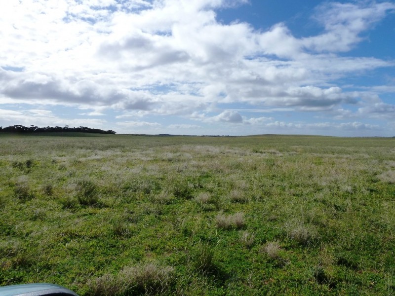 - Charlsons, Wanbi SA 5310