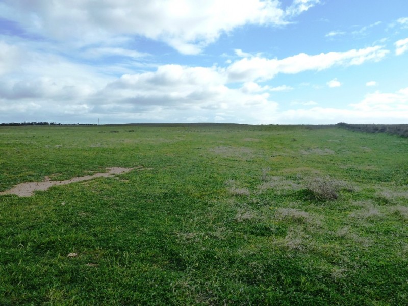 - Charlsons, Wanbi SA 5310