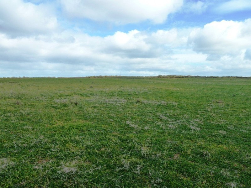 - Charlsons, Wanbi SA 5310