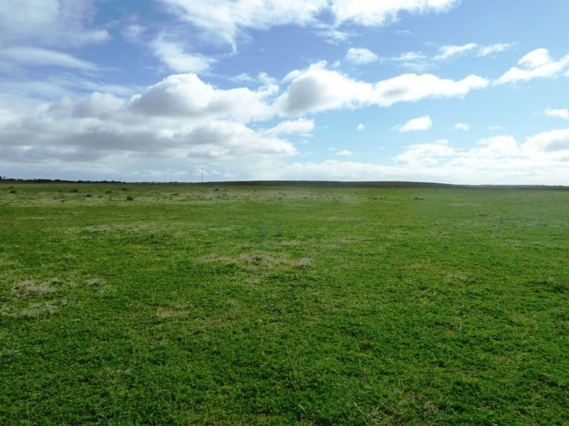 - Charlsons, Wanbi SA 5310