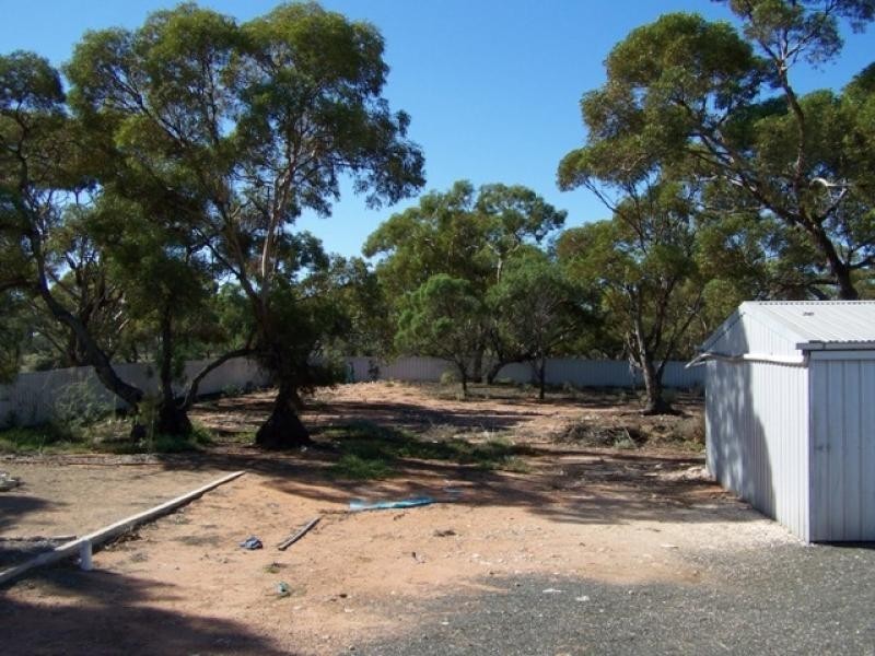 8 Federal Street, Morgan SA 5320