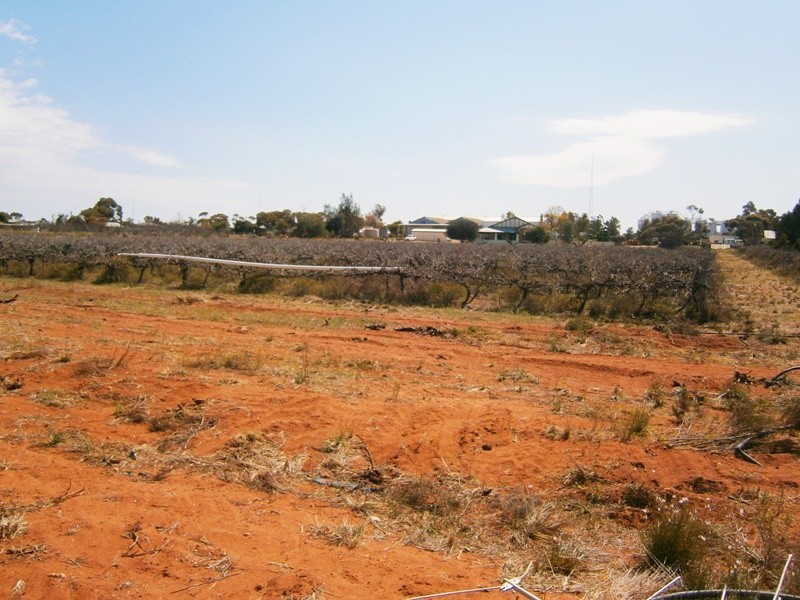 17 Baldock Road, Waikerie SA 5330