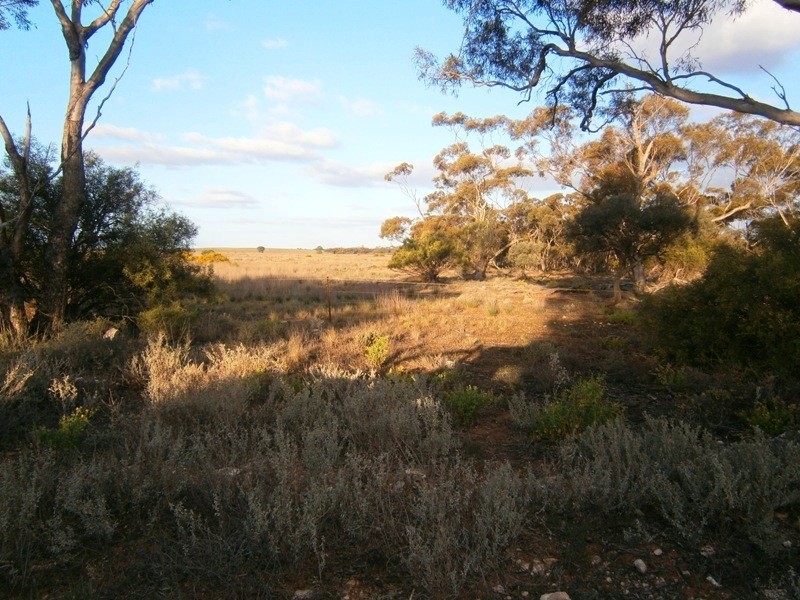 Allotment 1 Naidia Road, Swan Reach SA 5354