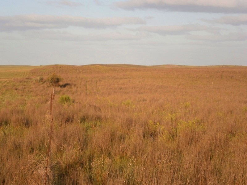 Allotment 1 Naidia Road, Swan Reach SA 5354