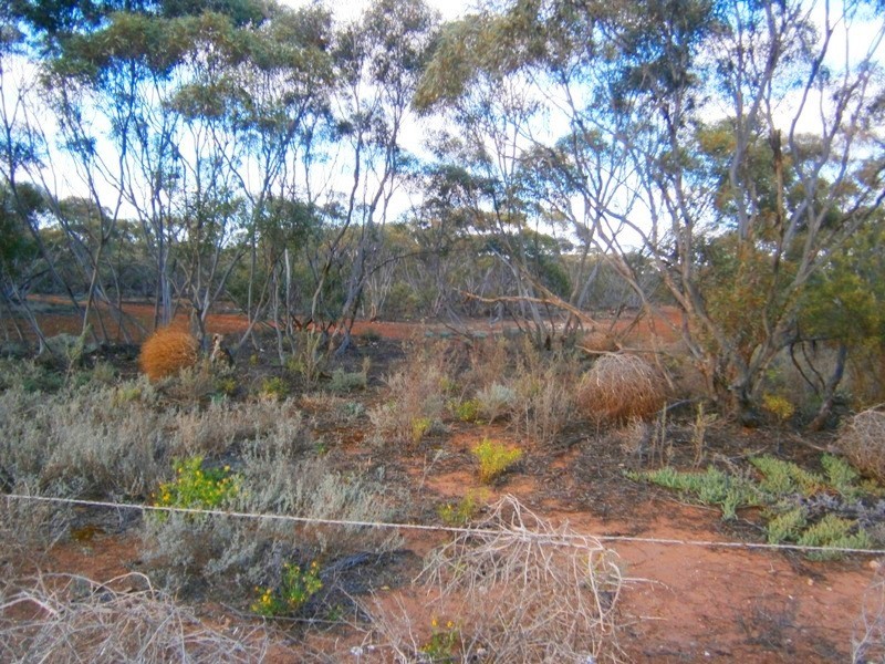 Allotment 3 Naidia Road, Swan Reach SA 5354