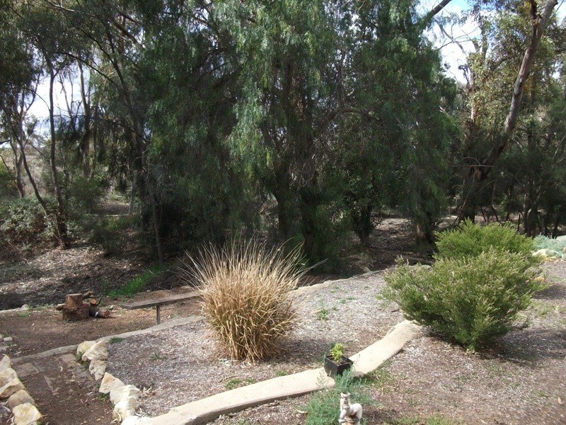 44B Queen Elizabeth Drive, Barmera SA 5345