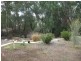 44B Queen Elizabeth Drive, Barmera SA 5345