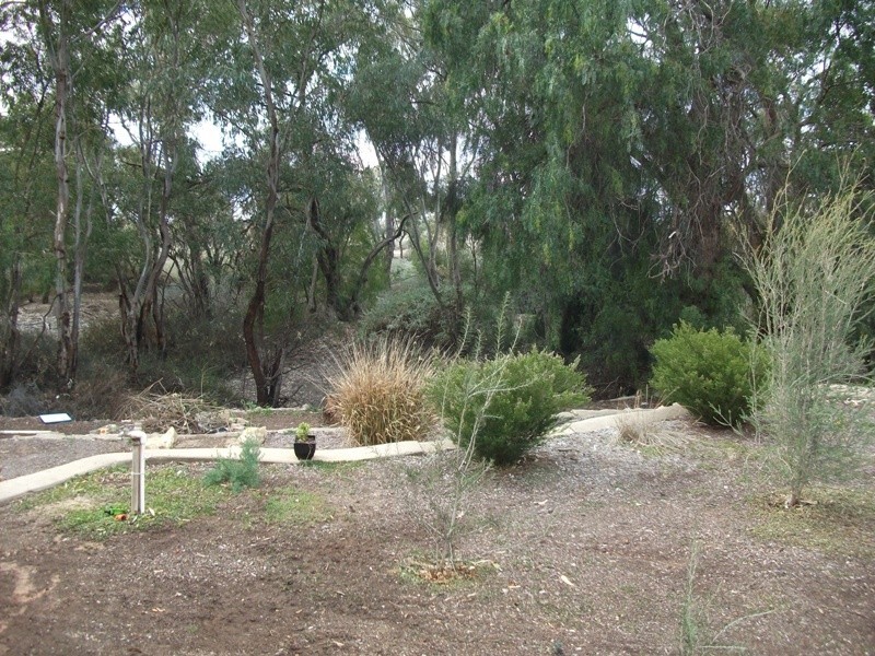 44B Queen Elizabeth Drive, Barmera SA 5345