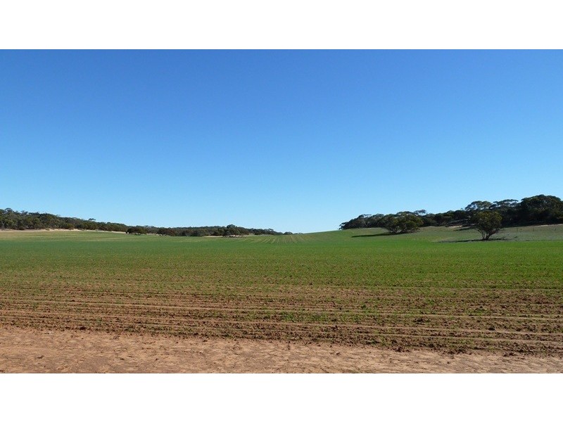 Section 37 Hd of Kingsford, Kringin SA 5304