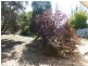 17 Partridge Road, Loxton SA 5333