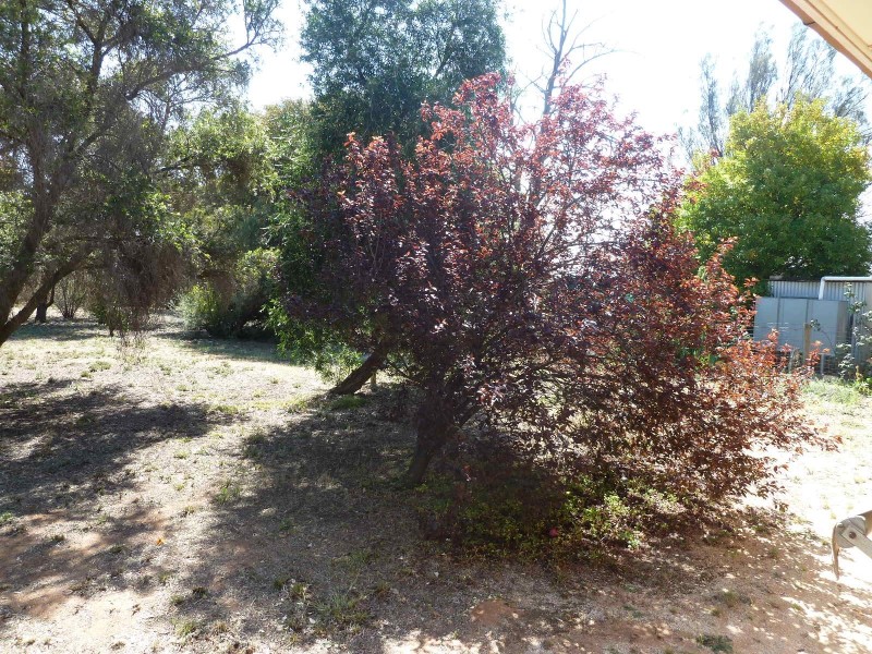 17 Partridge Road, Loxton SA 5333