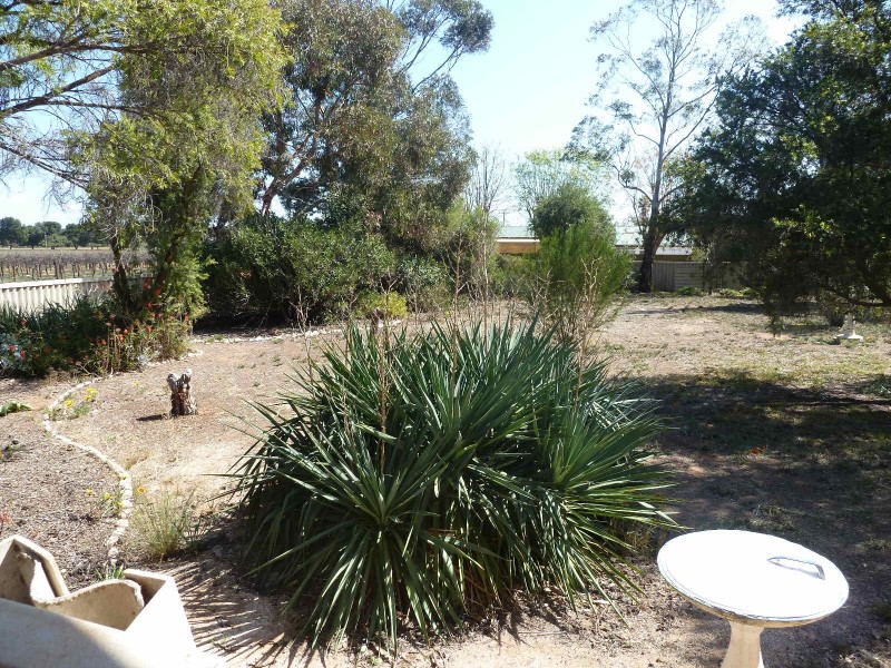 17 Partridge Road, Loxton SA 5333