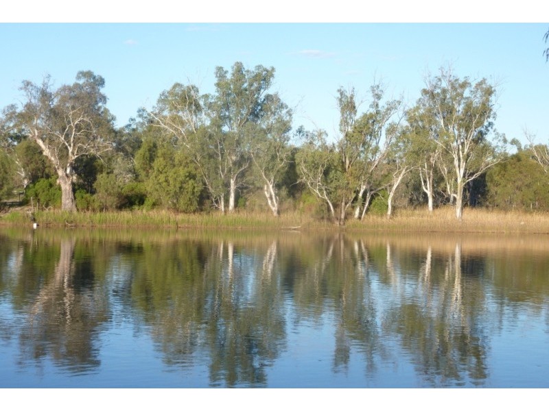 128 Scott’s Creek Shack Road, Morgan SA 5320