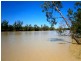 128 Scott’s Creek Shack Road, Morgan SA 5320