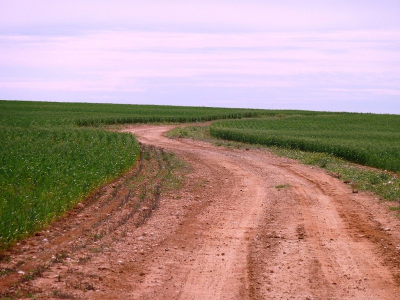 - Fisher Road, Taldra SA 5311