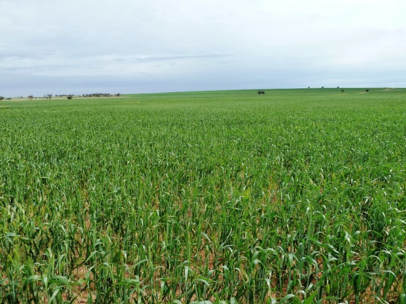 - Fisher Road, Taldra SA 5311