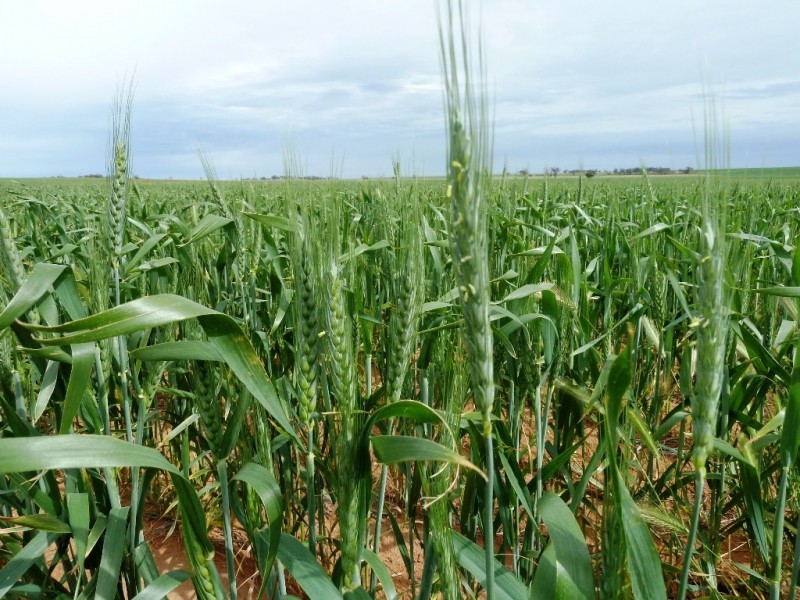 - Fisher Road, Taldra SA 5311