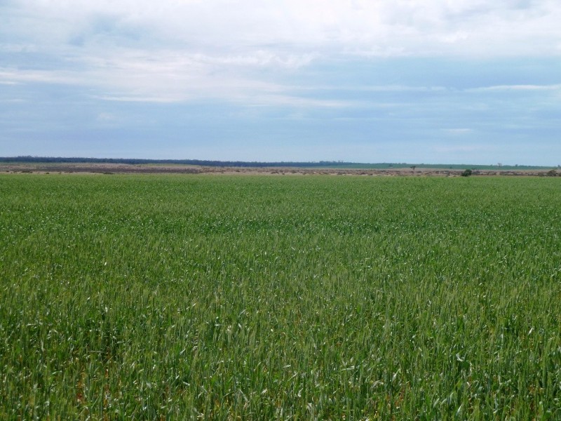 - Fisher Road, Taldra SA 5311