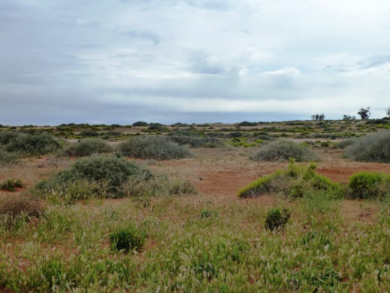 - Fisher Road, Taldra SA 5311