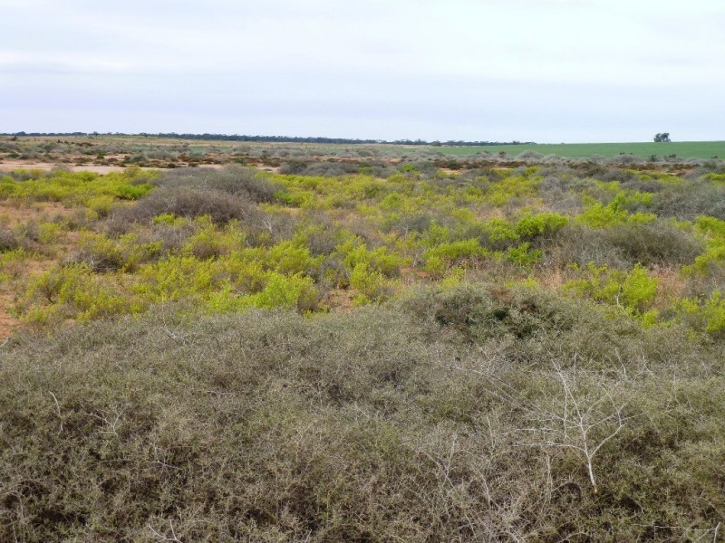 - Fisher Road, Taldra SA 5311