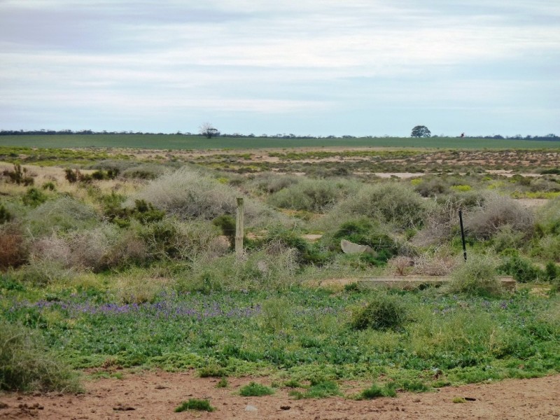 - Fisher Road, Taldra SA 5311